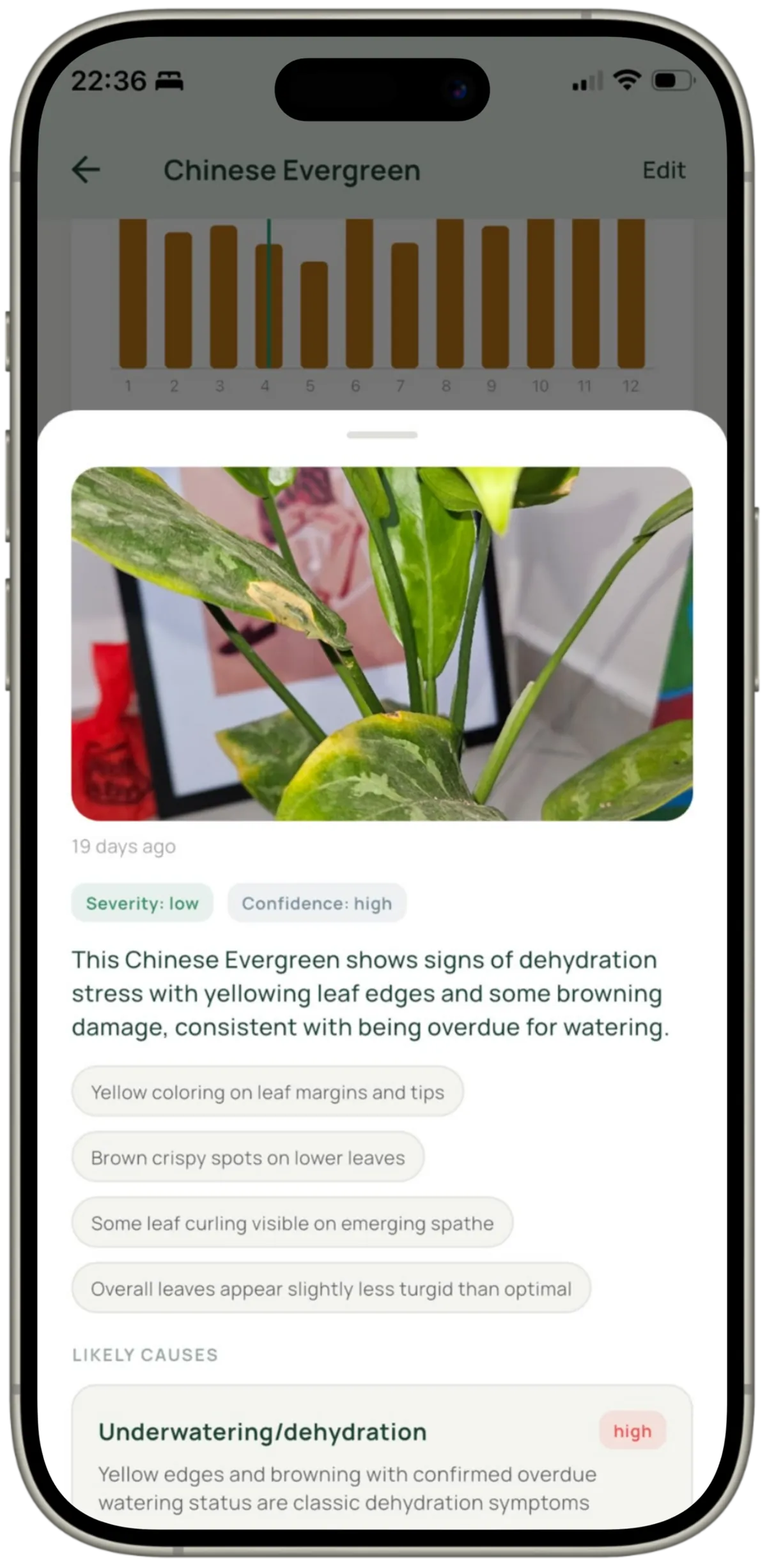Photo plant diagnosis